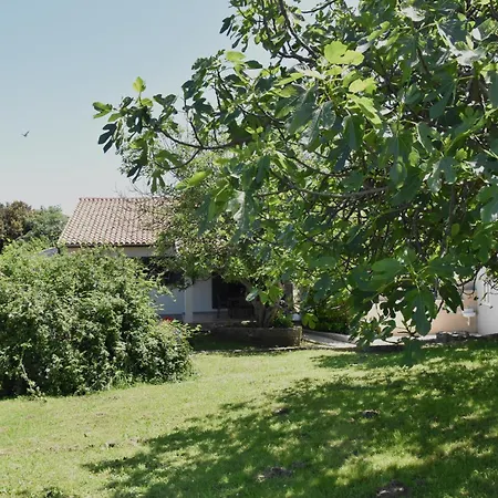 Holiday home Vacation