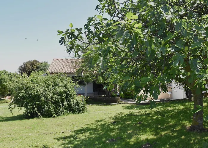 Vakantiehuis Vacation